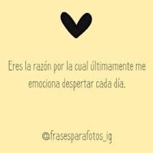 Meet your Posher, Iris